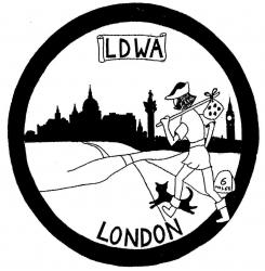 The 11th Capital Challenge Logo