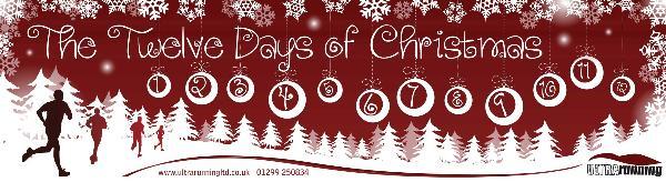 The 12 Days of Christmas 12in12 Logo