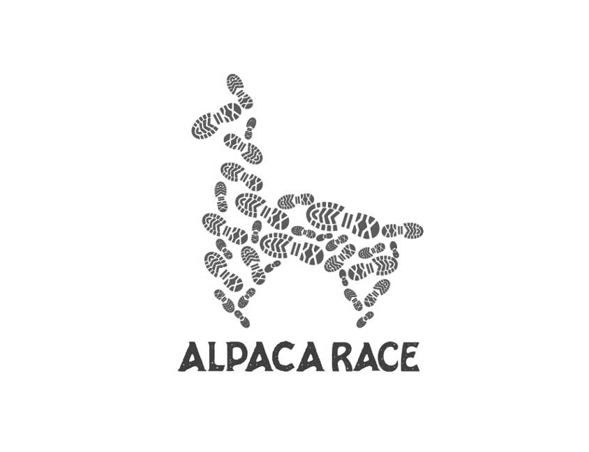 The Alpaca Race
