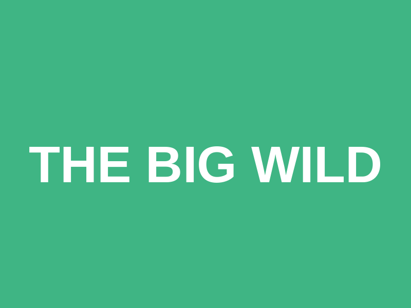 The Big Wild Logo