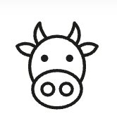 The Bovina 5K