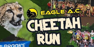 The Cheetah Run at Fota Wildlife Park 2027