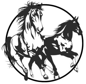 The Currituck Salt & Sound 10k, 5k and 1-Miler Logo