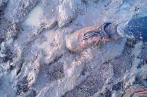 The Hardmoors 110 Logo