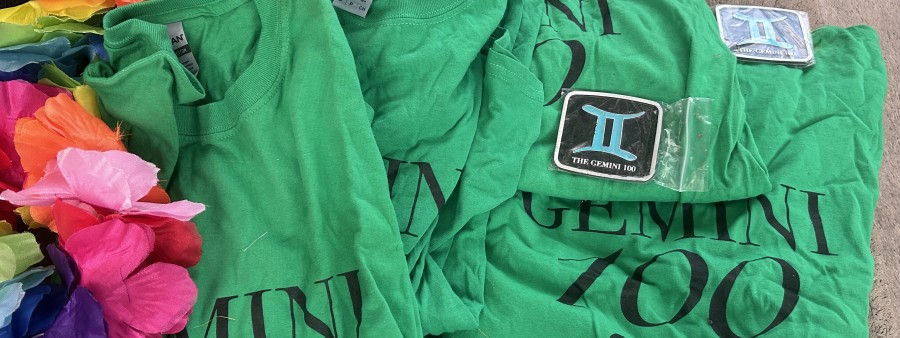 The New Gemini 100 Logo