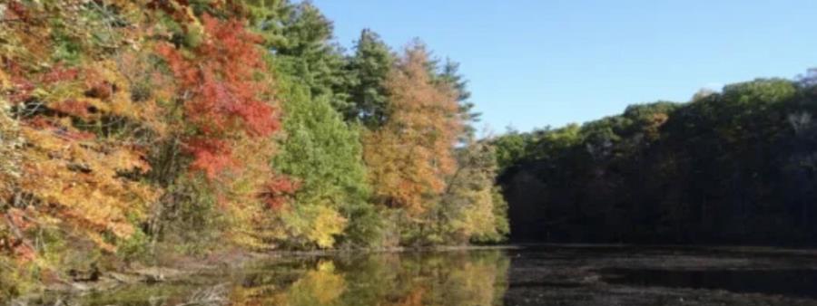 The Next Loop: 50-Mile Challenge - New England