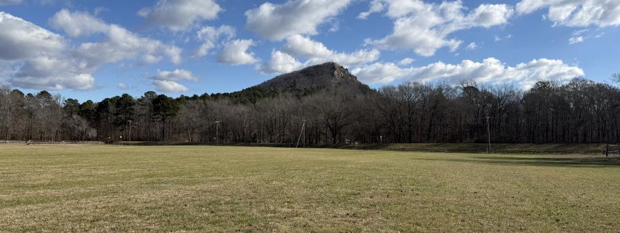 The Next Loop: 50-Mile Challenge, Pinnacle Mountain/Nov Logo