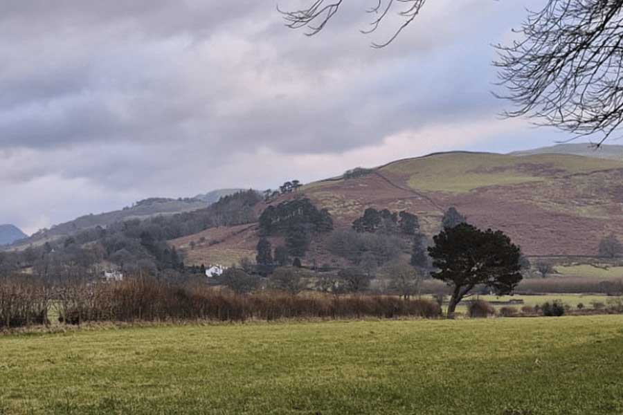 The North Lakes New Year Half Marathon Logo