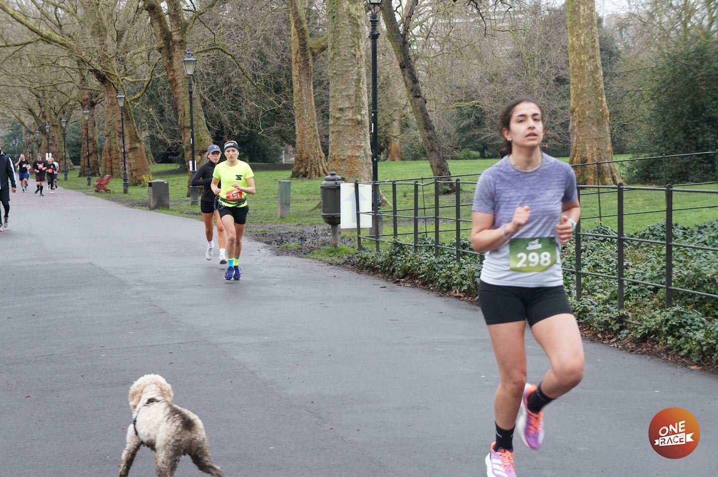The One in the Park - Battersea - December