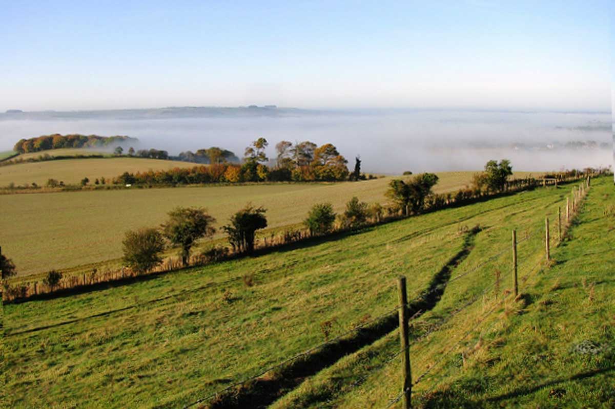 The Ridgeway 40 Walk