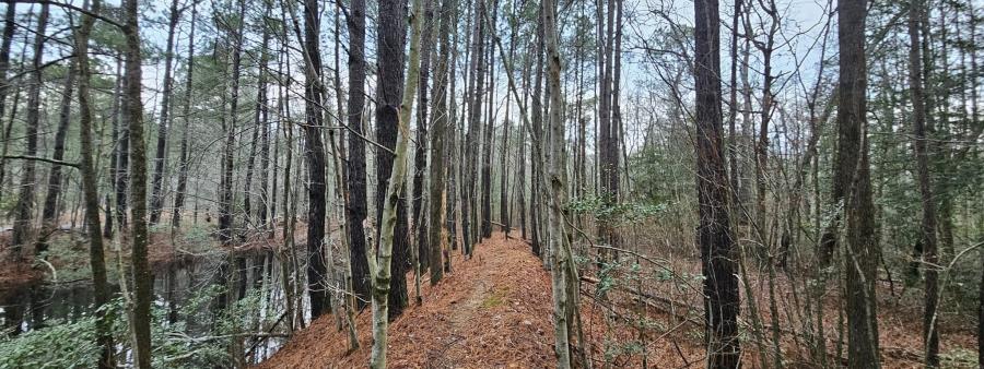 The Ripper - Sunrise to Sunset