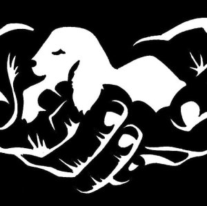 The Shepherd's Hand Community 5k Logo