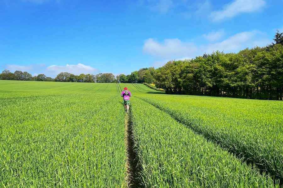 The Shindig in the Shire Logo