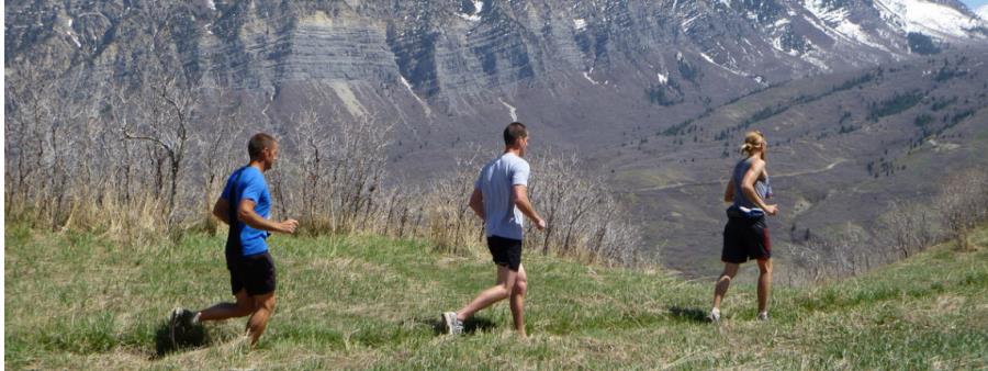 The Timp Trail Marathon and Half Logo