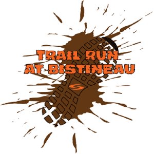 The Trail Run at Bistineau