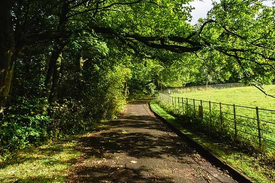 The Ultra Loop - March