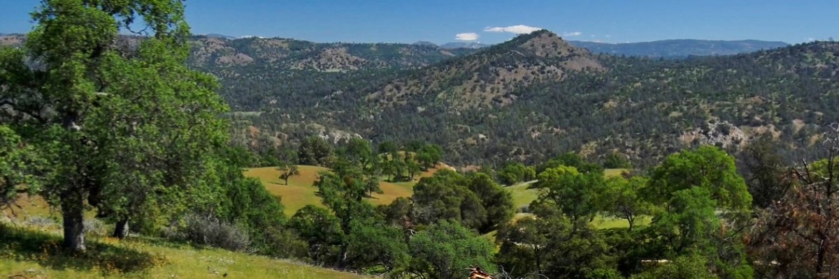 The Wascally Wabbit Trail Race