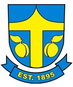 Thorsby Swedish Festival Viking Run Logo