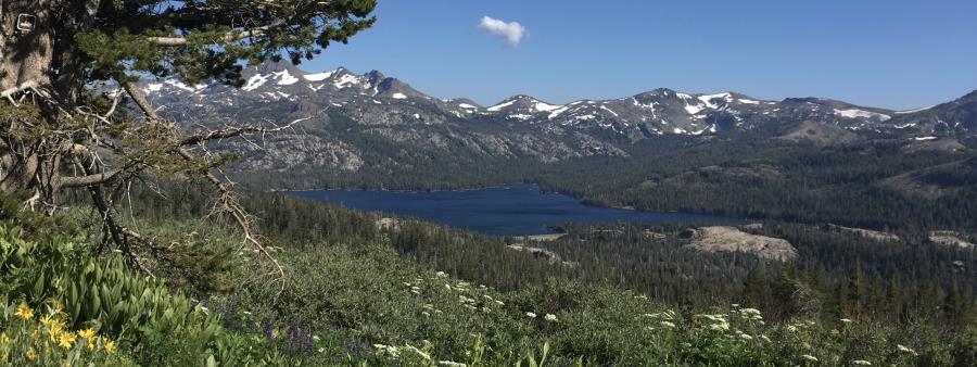 Thunder Mountain Trail Challenge