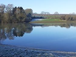 Ticehurst 7.5km Trail Race