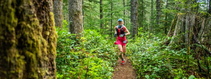 Tillamook Burn