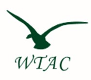 Tom McCoy Family Fun Run - Series Logo