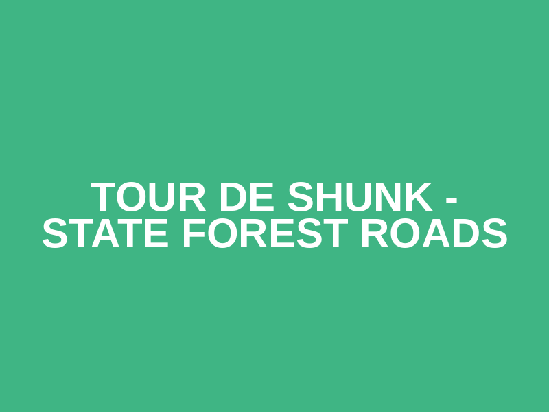Tour de Shunk - State Forest Roads Logo