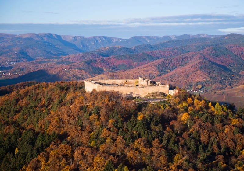 Trail Alsace by UTMB - TRAIL DES ECUYERS Cadets Logo