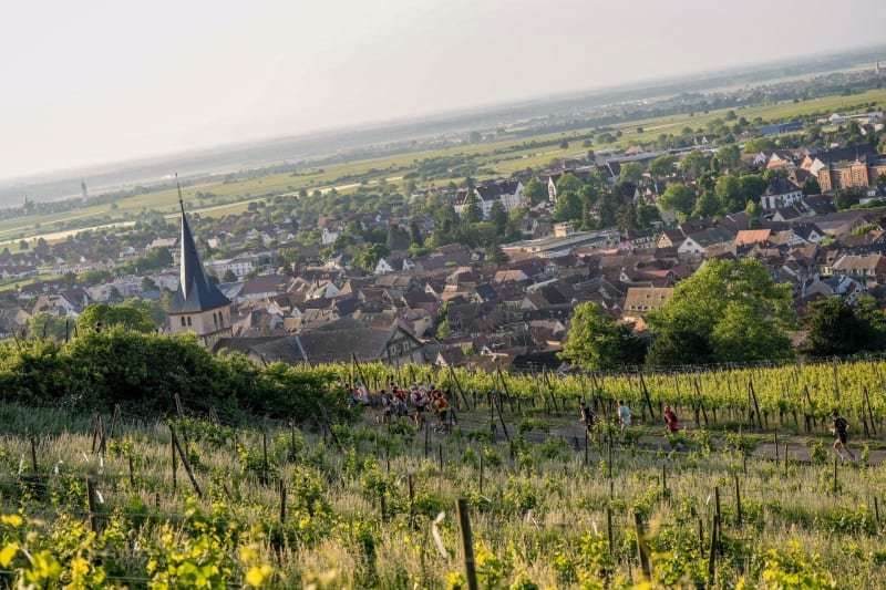 Trail Alsace by UTMB - Trail des Ecuyers Logo