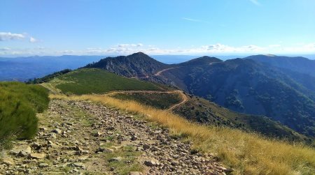 Trail Beaume Drobie Logo