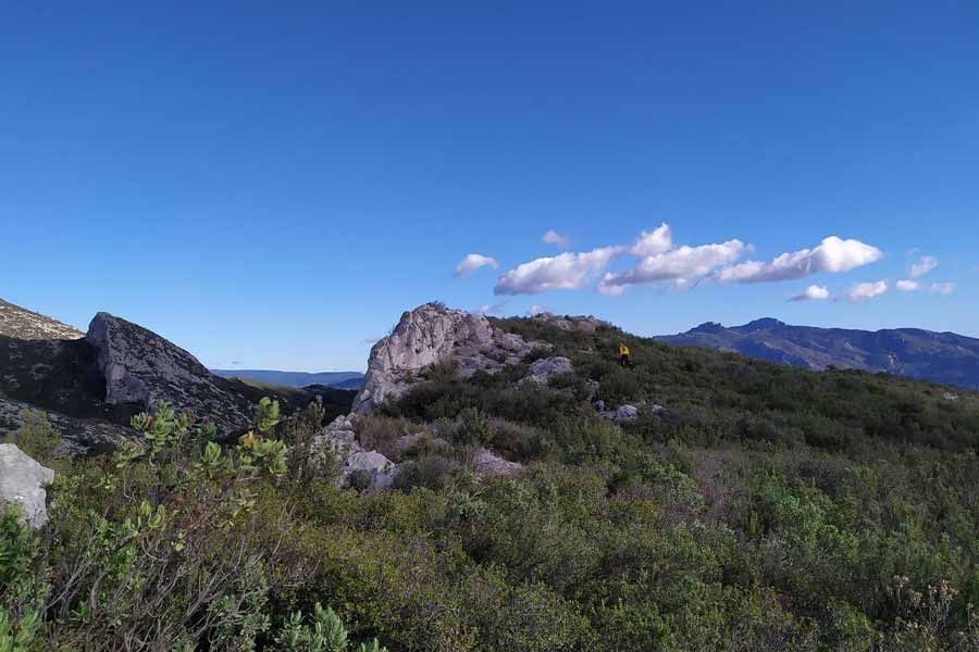 Trail de la Font de Mai Logo