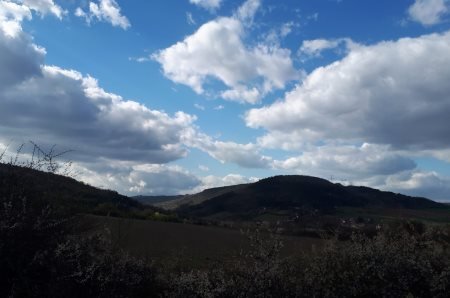 Trail de la Marguerite