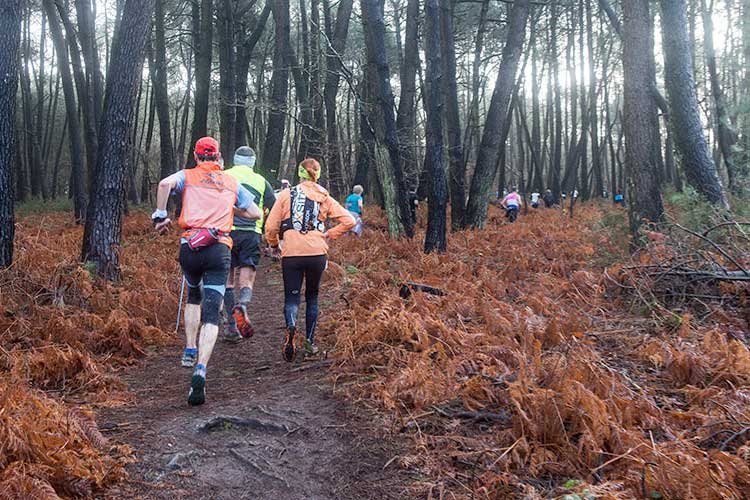 Trail de la Ria et de l'océan Logo