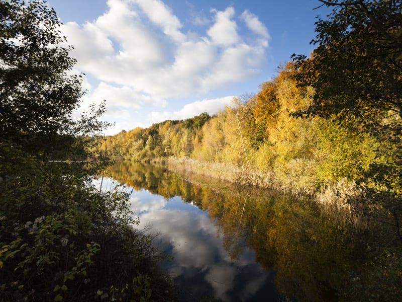 Trail des 3 Forêts