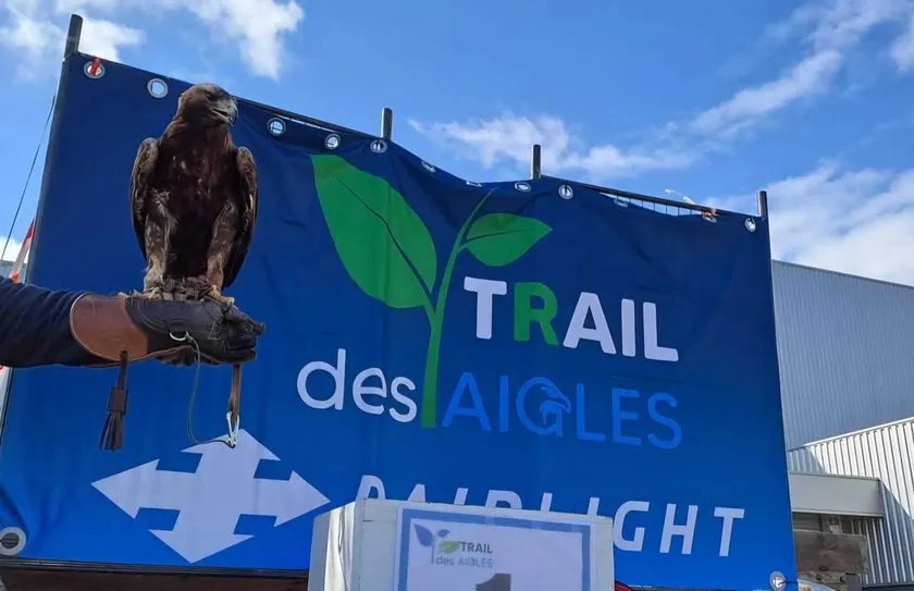 Trail des Aigles Logo