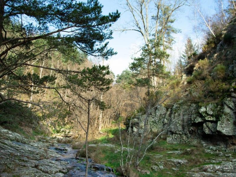 Trail des Babets