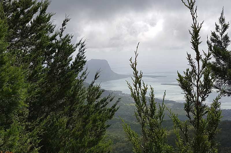 Trail des Goyaves Logo