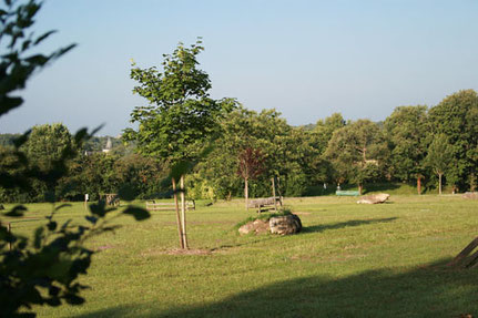 Trail des Mousses Logo