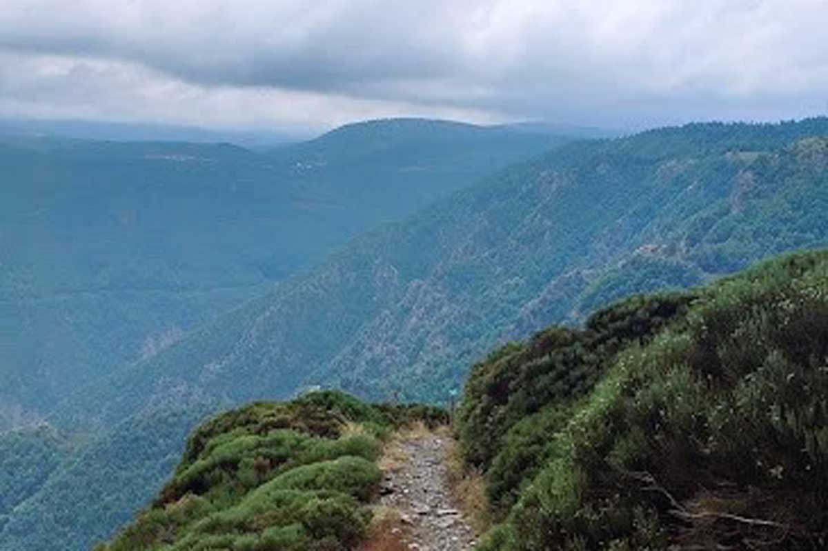 Trail du Mont-Aigoual