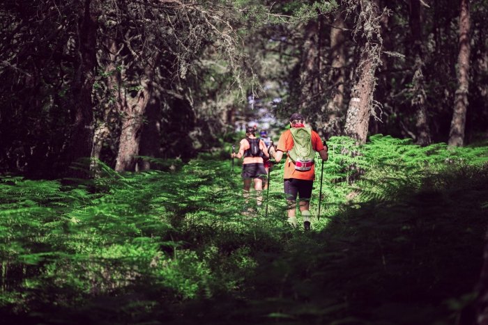 TRAIL DU TELETHON DE BUHL