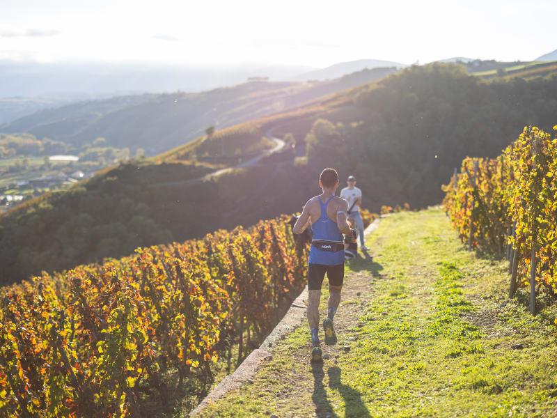 Trail en Côte-Rôtie Logo