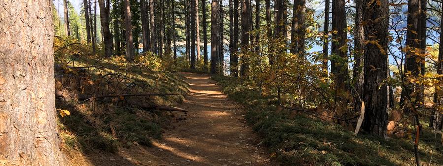 Trail Run at Sly Park - Fall