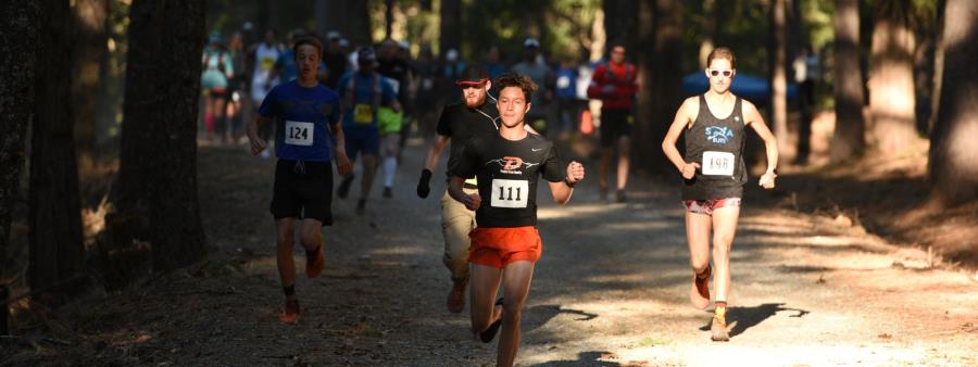 Trail Run at Sly Park - Summer Logo