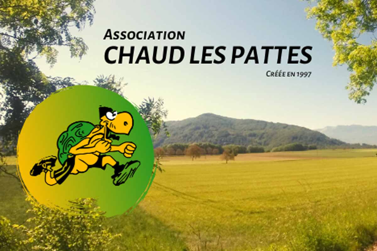 Trail Tortues Joggeuses Logo