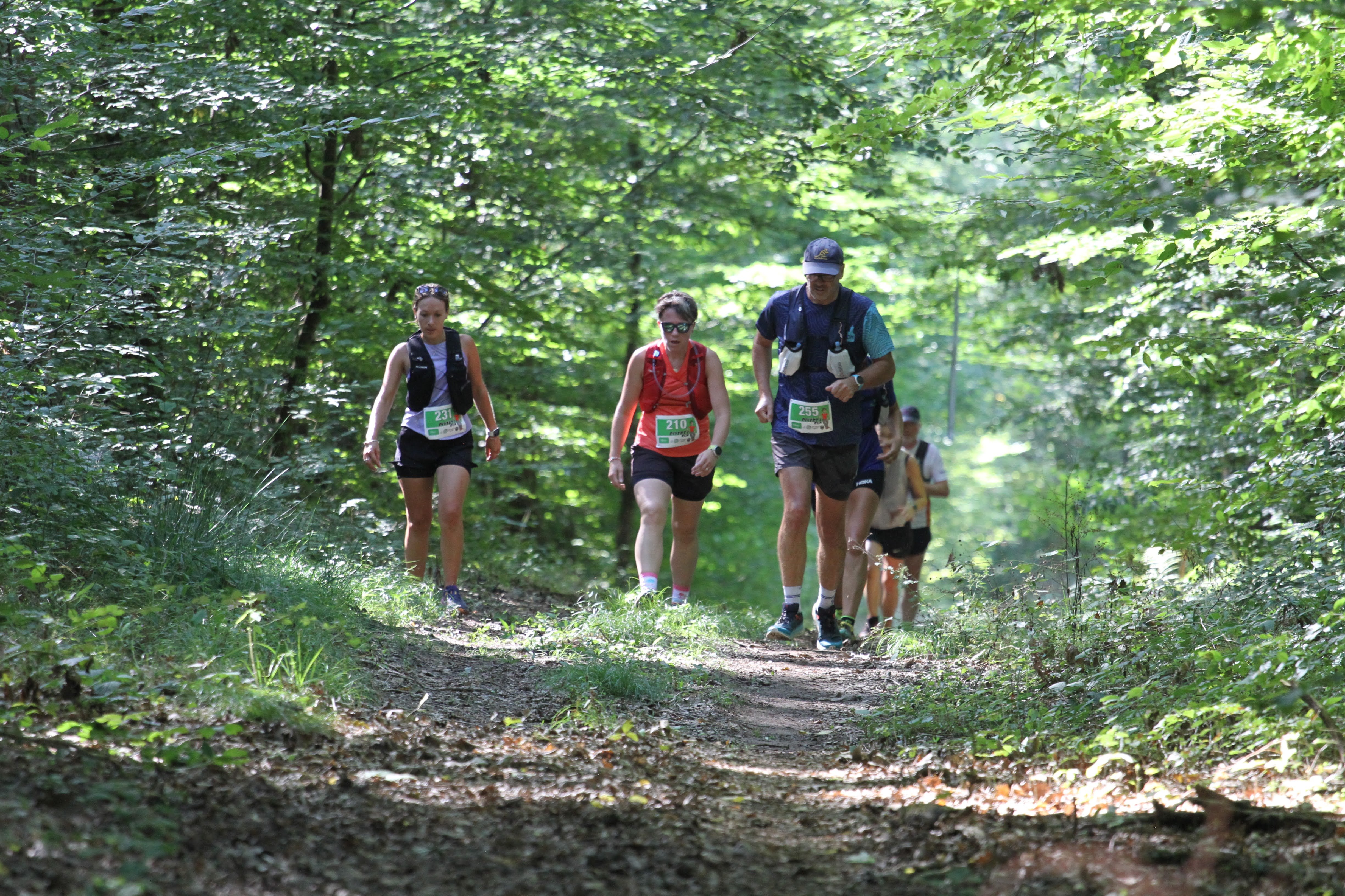 Trail Toulon court Diverti'Run