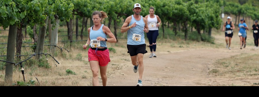 Trails n Vines Wine Run Logo