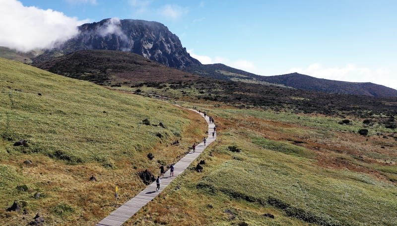 TransJeju by UTMB - Jeju60K Logo