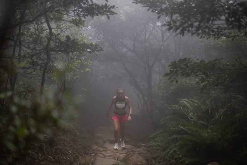 TransLantau by UTMB - TransLantau50 Logo