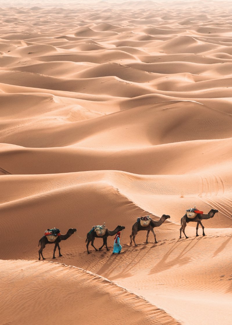 Trek Des Gazelles By Mélanie Logo