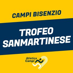 Trofeo Sanmartinese - Trofeo Martiri di Valibona Logo